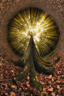  L’Esprit de la Forêt : Une Exploration Mystique de l'Âme Humaine à Travers le Bronze