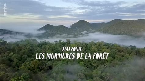 La Forêt aux Murmures: Une Ode Chromatique à la Fragilité de la Nature !