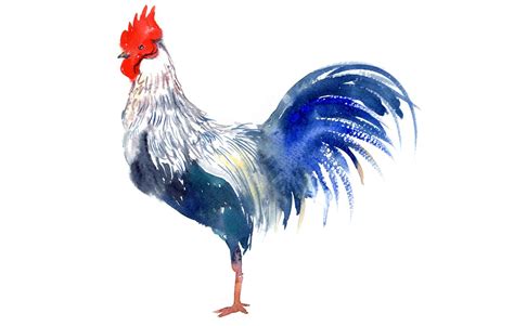  Le Coq de Rani: Une Exquisite Exploration de la Symbolique Animale et du Detail Précieux!