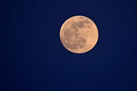  Le Temple de la Lune Bleue, Une Exploration Mystique de l'Existentialisme à Travers des Couleurs Vibrantes et des Formes Abstraites!