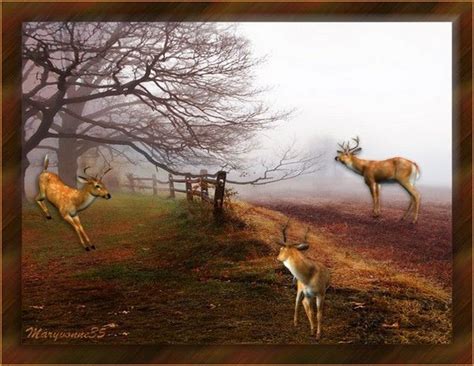  Les Neuf Cerfs Rouges dans la Brume Matinale : Une Ode à l’Éphémère et au Mystère du Paysage