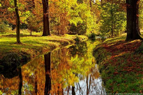 Paysage de l'automne et ruisseau du matin: Une ode paisible à la nature et une exploration subtile des émotions humaines